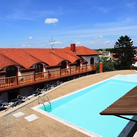 Zajici Ze Hotel Zajeci