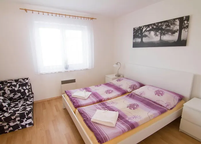 Zajici Ze Hotel Zaječí